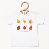 SmileyWorld Fall Leaves - Youth Short Sleeve Graphic T-Shirt and Toddler Short Sleeve Graphic T-Shirt - 2 of 4