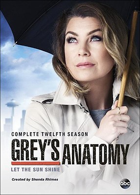 Grey's Anatomy - Season 12 (DVD)