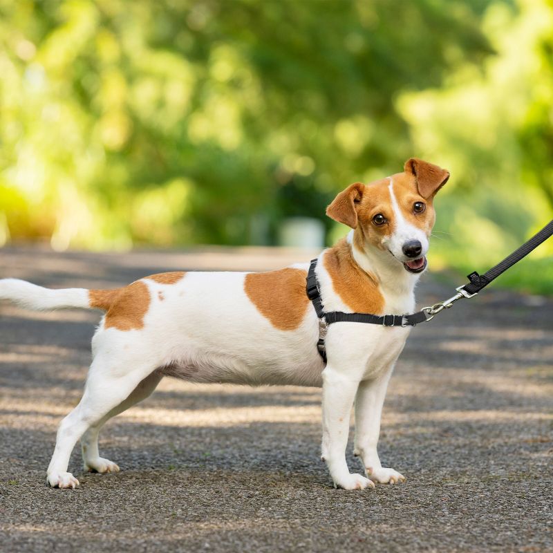 PetSafe Easy Walk Adjustable Dog Harness, 4 of 10
