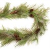 Long Needle Pine and Pinecone Garland 6'L - 2 of 2
