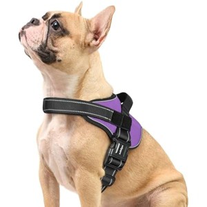 rabbitgoo , , , Reflective, Adjustable Pet Harness with Molle for Walking, Training, Purple, S - 1 of 1