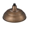 Millennium Lighting R Series 1 - Light Pendant in  Natural Copper - 3 of 4