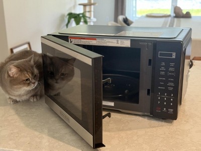 Guest review image 1 of 2, zoom in