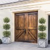 Artificial Tree - 5FT Faux Artificial Olive Topiary Ball Plant in White Pot - Fake Plants for Indoor Display or Front Porch Decorations, 2Pcs - 2 of 4