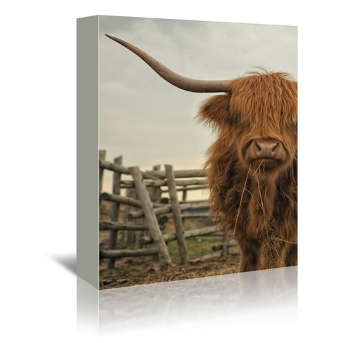 Americanflat - 8 X 10 Cow Photo By Tanya Shumkina Wrapped Canvas