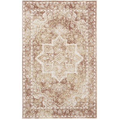 Nourison Astra Machine Washable Back to College Vintage Medallion Indoor Flatweave Rug