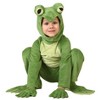 HalloweenCostumes.com Toddler Deluxe Frog Costume - 4 of 4