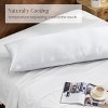 Rayon from Bamboo Pillowcases by Bare Home - 3 of 4
