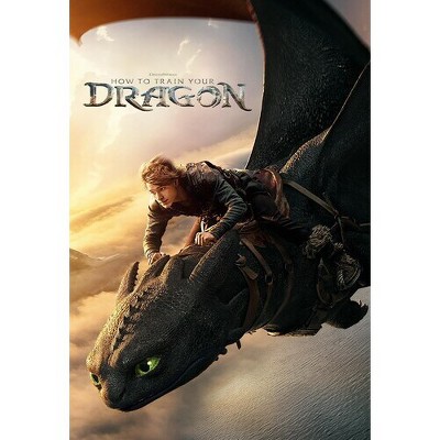 How to Train Your Dragon (DVD)(2025)