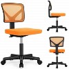 Low-Back Mesh Armless Office Chair, Swivel Rolling Computer Chair No Arms with Lumbar Support for Home Office-Multicolor-The Pop Home - 4 of 4