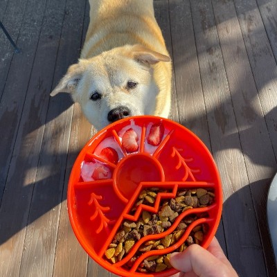 Green Outdoor Design Slow Feeder Dog Bowl