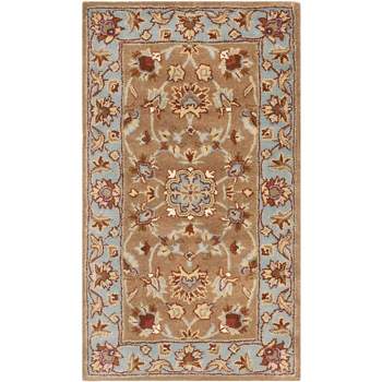 Total Performance Tlp712 Hand Hooked Area Rug - Copper/moss - 2'x3' -  Safavieh : Target