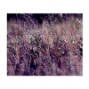 Trademark Fine Art - Beata Czyzowska Young 'Purple Rain' Wood Slat Art - 2 of 4