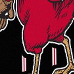 st louis cardinals 1950s