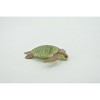 Collectible Wildlife Gifts | Turtle, Green Sea Turtle, Museum Quality, Hand Painted, Rubber Reptile, Realistic, Model,  Toy, Gift,   2"   CH706 BB174 - 3 of 4