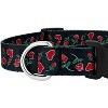 Country Brook Petz Deluxe Dog Collar - Affection Collection - 4 of 4