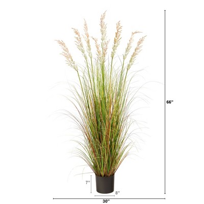 5.5' Multicolor Plum Grass Artificial Plant in Black Pot