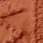 terracotta - elegant