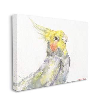 Stupell Industries Cockatiel Bird Portrait Tropical Yellow Grey Pet Gallery Wrapped Canvas Wall Art, 16 x 20