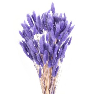 Unique Bargains Decorative Natural Dried Floral Bunny Tail Artificial Plants 120 Pcs - 1 of 4