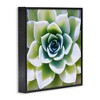 Stupell Industries Green Succulent Nature Close Up, 12" x 12" - 3 of 4