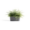 Ecopots Sofia Durable Modern Oval Indoor/Outdoor Recycled-Based Composite Flower Pot Planter w/ Water Reservoir - 4 of 4