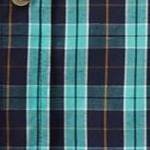 tidal green plaid