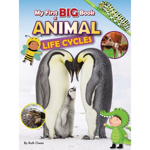 My First Big Book of Animal Life Cycles - (My First Big Book of . . .) by  Ruth Owen (Paperback) - image 1 of 1