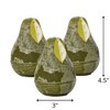 Moss Timber Pear Candles - Set of 3 - 4 of 4