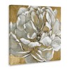 Stupell Industries Blushing White Magnolia Flower Abstract, 30" x 30" - 3 of 4