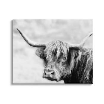 Stupell Industries Curly Hair Highland Cow Baby Cattle Portrait Gallery  Wrapped Canvas Wall Art, 24 x 30