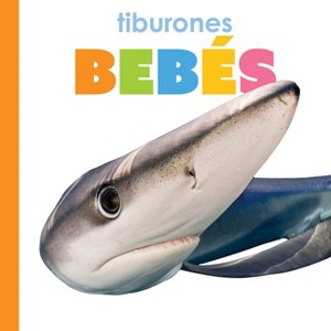 Tiburones Bebés - by  Kim Thompson (Paperback) - 1 of 1