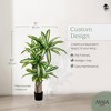 Maia Shop Artificial Dracaena Tree Faux Silk Tropical Home Decoration with Realistic Leaves and Trunks Ideal for Home and Office - image 2 of 4