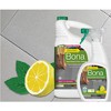 Bona Cleaning Products Multi-Surface Cleaner Spray + Mop All Purpose Floor Cleaner - Lemon Mint - 32oz - image 3 of 4