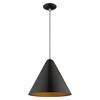 Livex Lighting Dulce 1 - Light Pendant in  Shiny Black - 4 of 4