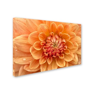 Trademark Fine Art - Cora Niele 'Orange Dahlia' Canvas Art