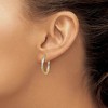 Black Bow Jewelry 2.5mm, Twisted Round Hoop Earrings in 14k Gold and Rhodium, 20mm - 3 of 4