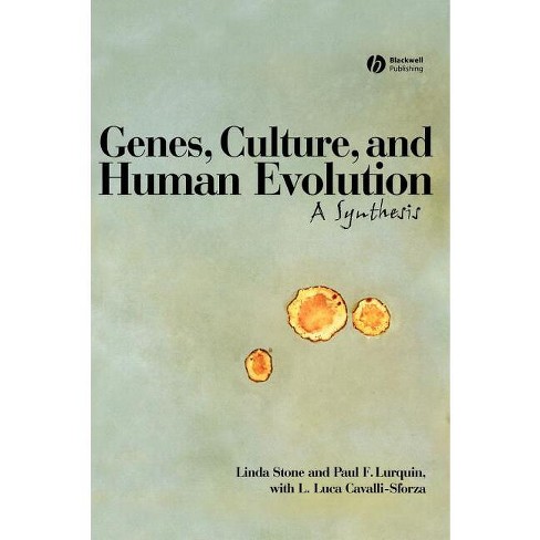 Genes Culture Human Evolution C - by  Linda Stone & Paul F Lurquin & L Luca Cavalli-Sforza (Hardcover) - image 1 of 1