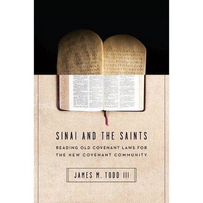 Sinai and the Saints - by  James M Todd III (Paperback)