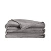 Truly Soft Velvet Plush Family Blanket Gray - 2 of 4