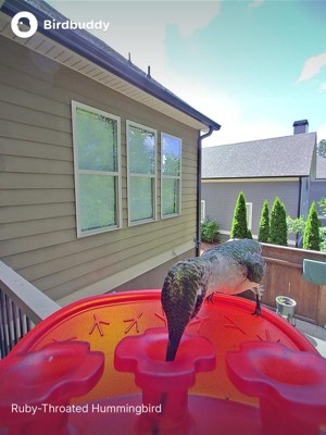 Guest review image 1 of 6, zoom in