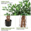 Artificial Ficus Tree, Lush Faux Plant with Black Pot, 2-Trunk Fake Indoor Outdoor Decor - 4 of 4