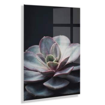 23" x 31" Lavender Succulent by Emiko and Mark Franzen of F2 Images Floating Acrylic Wall Canvas - Kate & Laurel All Things Decor