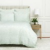 EY Essentials Shaleena Sea Glass Standard Sham - 2 of 2
