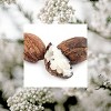 Raw Sugar Simply Hand Wash - Shea + Rice Flower - 16.9 fl oz - 3 of 4