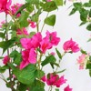 150cm (4.92ft) Artificial Bougainvillea Tree with Flowers and Leaves, Realistic Faux Potted Plant in Cement Pot for Indoor & Outdoor Decor - 3 of 4