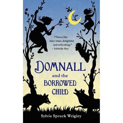 Domnall and the Borrowed Child - by  Sylvia Spruck Wrigley (Paperback)