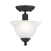 Livex Lighting North Port 1 - Light Flush Mount in  Black - 2 of 4