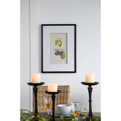 Set of 2 Black Framed Botanical Fruit Wall Art