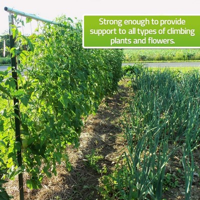 Green Plastic Trellis Netting for Climbing Plants